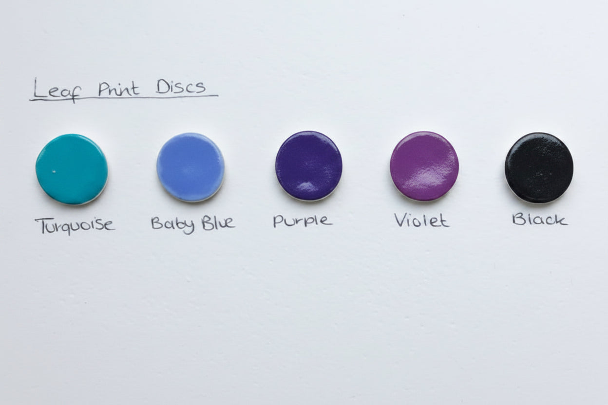 Reversible Disc Necklace
