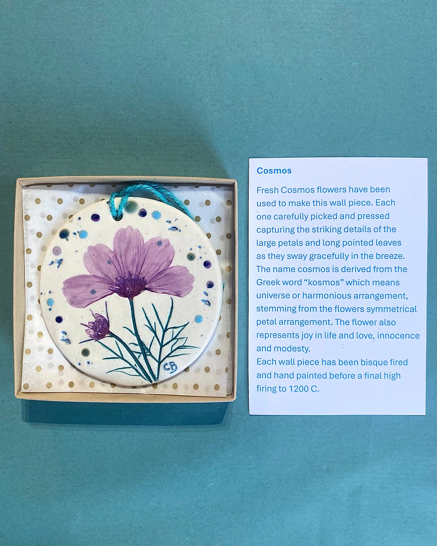 Wall Plaque Round - Cosmos