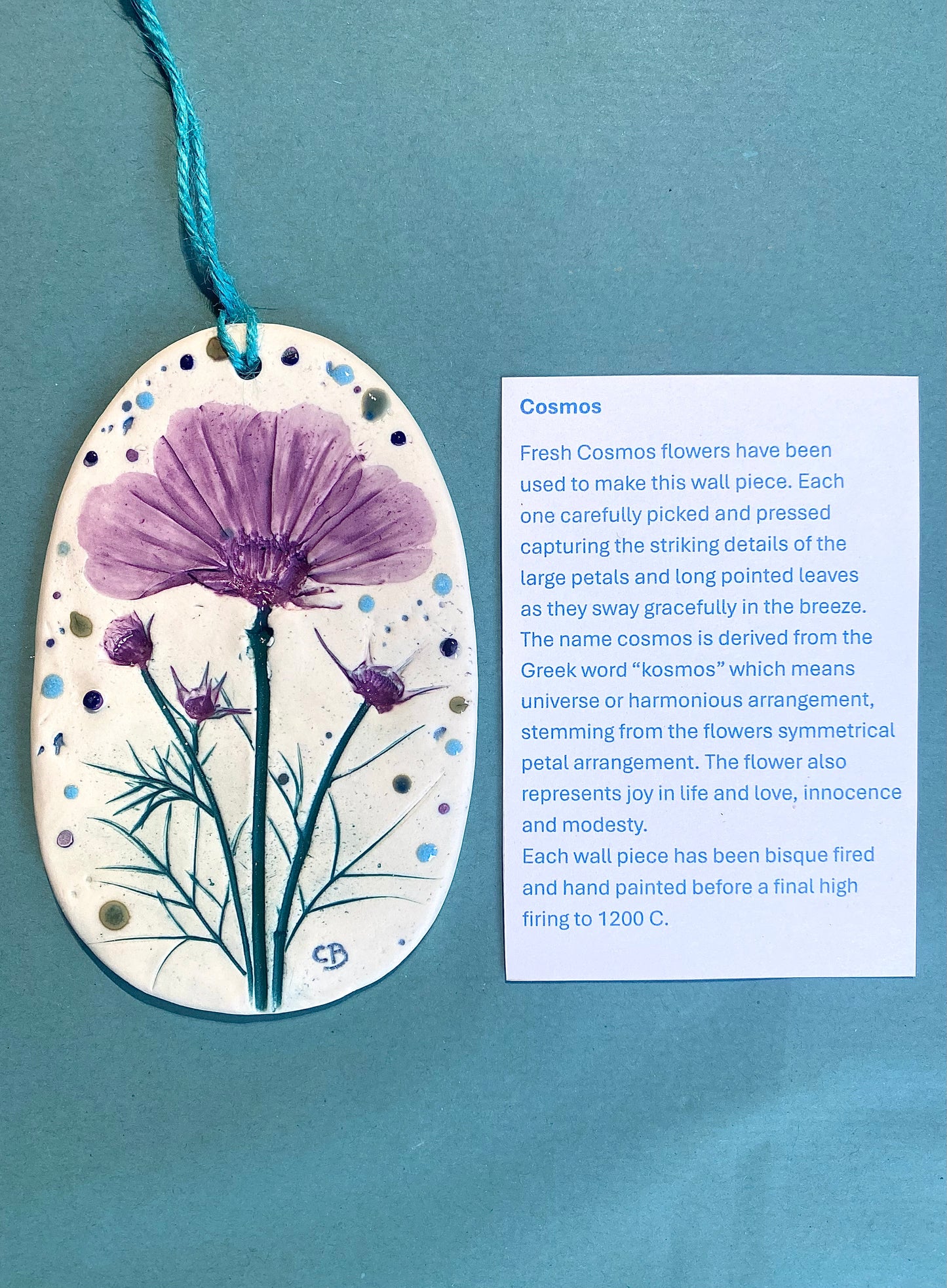 Wall Plaque - Cosmos