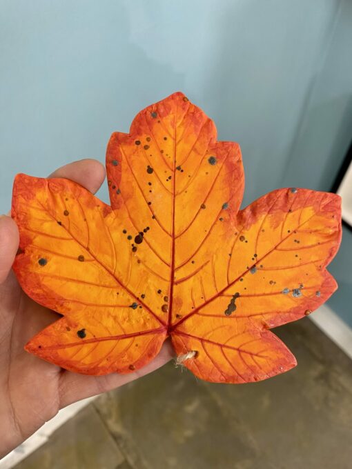 (B) Leaf Decoration - Sycamore - Image 3