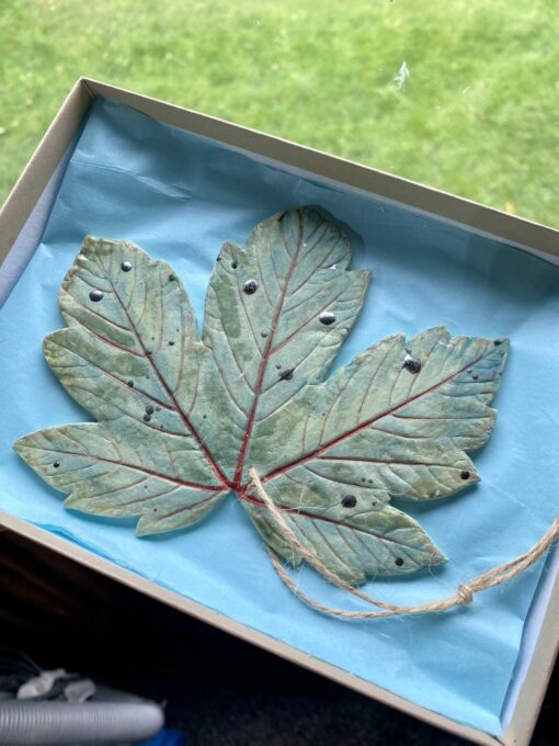 (B) Leaf Decoration - Sycamore - Image 2