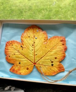 (B) Leaf Decoration - Sycamore